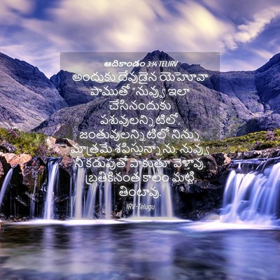 Picture 04 - ఆదికాండం 3:14 TELIRV - అందుకు దేవుడైన - Bible Verse Picture