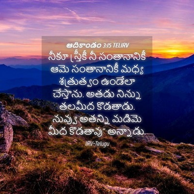 Picture 04 - ఆదికాండం 3:15 TELIRV - నీకూ స్త్రీకీ నీ - Bible Verse Picture