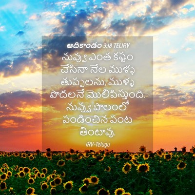 Picture 04 - ఆదికాండం 3:18 TELIRV - నువ్వు ఎంత కష్టం - Bible Verse Picture