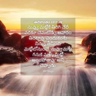 Picture 04 - ఆదికాండం 3:19 TELIRV - నువ్వు మట్టికి - Bible Verse Picture