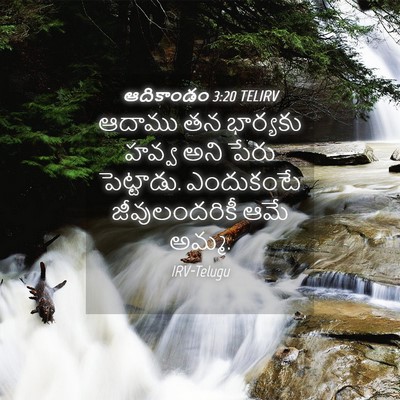 Picture 04 - ఆదికాండం 3:20 TELIRV - ఆదాము తన భార్యకు - Bible Verse Picture