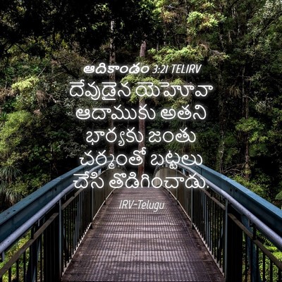 Picture 04 - ఆదికాండం 3:21 TELIRV - దేవుడైన యెహోవా - Bible Verse Picture