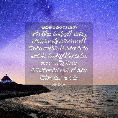 Picture 04 - ఆదికాండం 3:3 TELIRV - కానీ తోట మధ్యలో - Bible Verse Picture