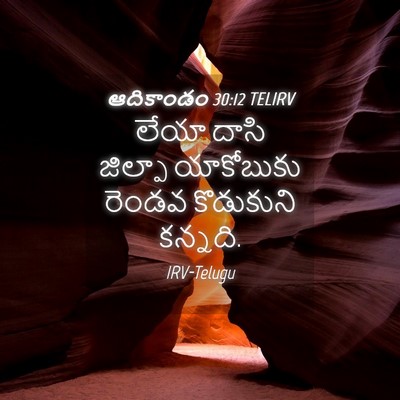 Picture 04 - ఆదికాండం 30:12 TELIRV - లేయా దాసి జిల్పా - Bible Verse Picture