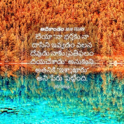 Picture 04 - ఆదికాండం 30:18 TELIRV - లేయా “నా భర్తకు నా - Bible Verse Picture