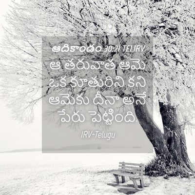 Picture 04 - ఆదికాండం 30:21 TELIRV - ఆ తరువాత ఆమె ఒక - Bible Verse Picture