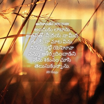 Picture 04 - ఆదికాండం 30:27 TELIRV - అందుకు లాబాను - Bible Verse Picture