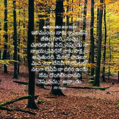 Picture 04 - ఆదికాండం 30:33 TELIRV - ఇక ముందు నాకు - Bible Verse Picture