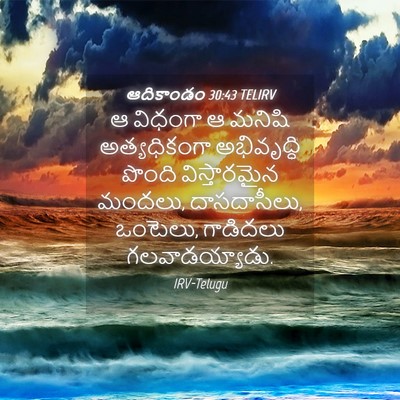 Picture 04 - ఆదికాండం 30:43 TELIRV - ఆ విధంగా ఆ మనిషి - Bible Verse Picture