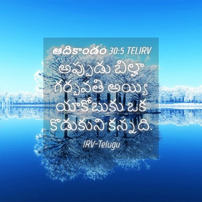 Picture 04 - ఆదికాండం 30:5 TELIRV - అప్పుడు బిల్హా - Bible Verse Picture