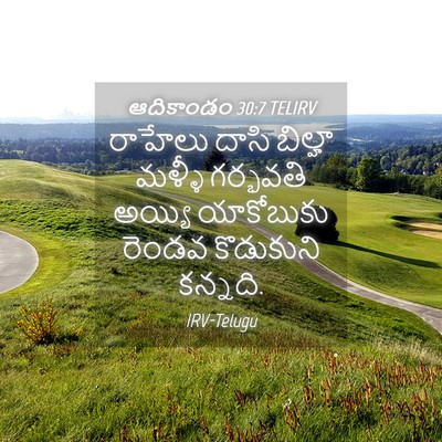 Picture 04 - ఆదికాండం 30:7 TELIRV - రాహేలు దాసి - Bible Verse Picture