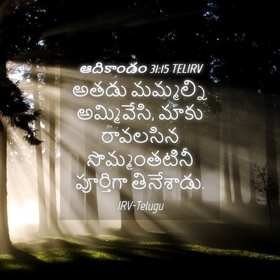 Picture 04 - ఆదికాండం 31:15 TELIRV - అతడు మమ్మల్ని - Bible Verse Picture