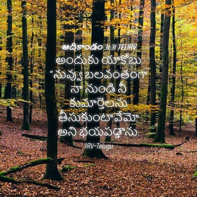 Picture 04 - ఆదికాండం 31:31 TELIRV - అందుకు యాకోబు - Bible Verse Picture