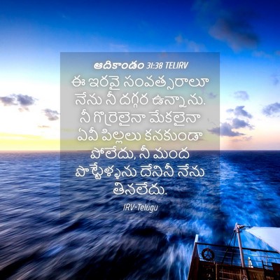 Picture 04 - ఆదికాండం 31:38 TELIRV - ఈ ఇరవై సంవత్సరాలూ - Bible Verse Picture