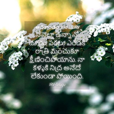 Picture 04 - ఆదికాండం 31:40 TELIRV - నేనెలా ఉన్నానో - Bible Verse Picture