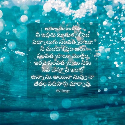 Picture 04 - ఆదికాండం 31:41 TELIRV - నీ ఇద్దరు - Bible Verse Picture