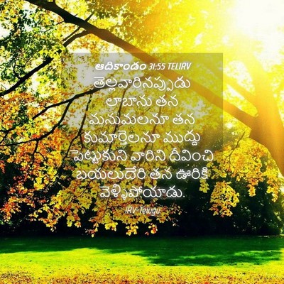 Picture 04 - ఆదికాండం 31:55 TELIRV - తెల్లవారినప్పుడు - Bible Verse Picture