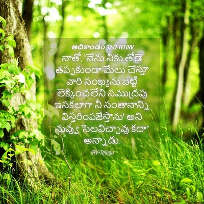 Picture 04 - ఆదికాండం 32:12 TELIRV - నాతో, ‘నేను నీకు - Bible Verse Picture