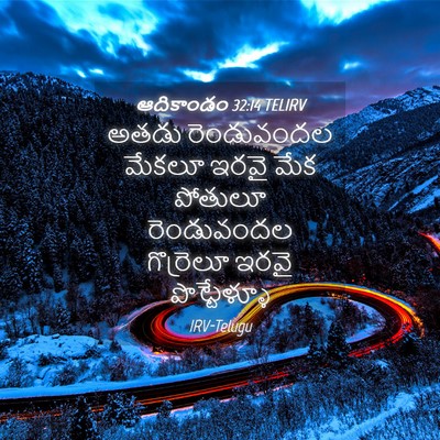 Picture 04 - ఆదికాండం 32:14 TELIRV - అతడు రెండువందల - Bible Verse Picture