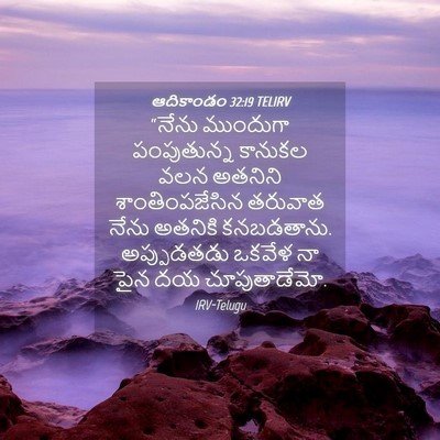 Picture 04 - ఆదికాండం 32:19 TELIRV - “నేను ముందుగా - Bible Verse Picture
