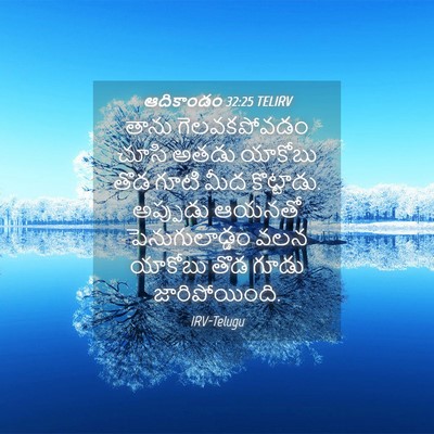 Picture 04 - ఆదికాండం 32:25 TELIRV - తాను గెలవకపోవడం - Bible Verse Picture