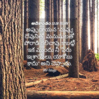Picture 04 - ఆదికాండం 32:28 TELIRV - అప్పుడాయన “నువ్వు - Bible Verse Picture