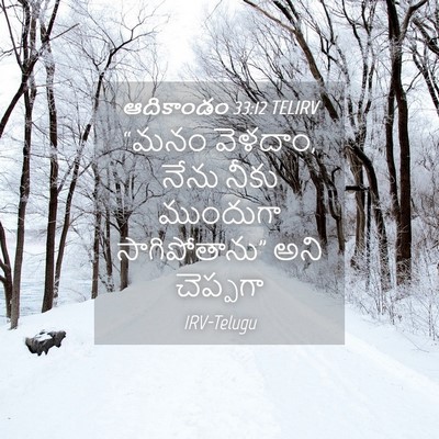 Picture 04 - ఆదికాండం 33:12 TELIRV - “మనం వెళదాం, నేను - Bible Verse Picture