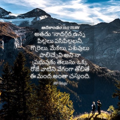 Picture 04 - ఆదికాండం 33:13 TELIRV - అతడు “నాదగ్గర - Bible Verse Picture