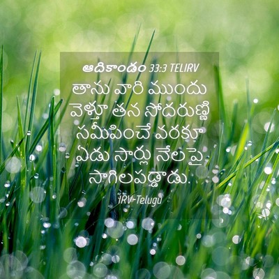 Picture 04 - ఆదికాండం 33:3 TELIRV - తాను వారి ముందు - Bible Verse Picture