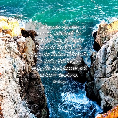 Picture 04 - ఆదికాండం 34:16 TELIRV - ఆ ఒక్క షరతుతో మీ - Bible Verse Picture