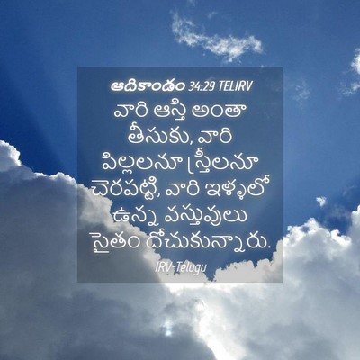 Picture 04 - ఆదికాండం 34:29 TELIRV - వారి ఆస్తి అంతా - Bible Verse Picture