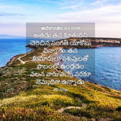 Picture 04 - ఆదికాండం 34:5 TELIRV - అతడు తన కూతురిని - Bible Verse Picture