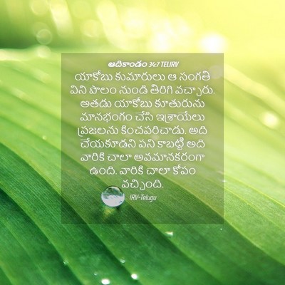 Picture 04 - ఆదికాండం 34:7 TELIRV - యాకోబు కుమారులు ఆ - Bible Verse Picture