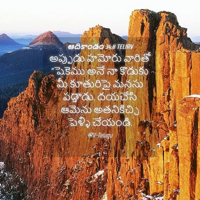 Picture 04 - ఆదికాండం 34:8 TELIRV - అప్పుడు హమోరు - Bible Verse Picture