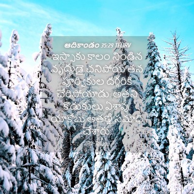 Picture 04 - ఆదికాండం 35:29 TELIRV - ఇస్సాకు కాలం - Bible Verse Picture
