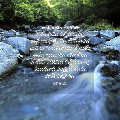 Picture 04 - ఆదికాండం 35:4 TELIRV - వారు తమ దగ్గర ఉన్న - Bible Verse Picture