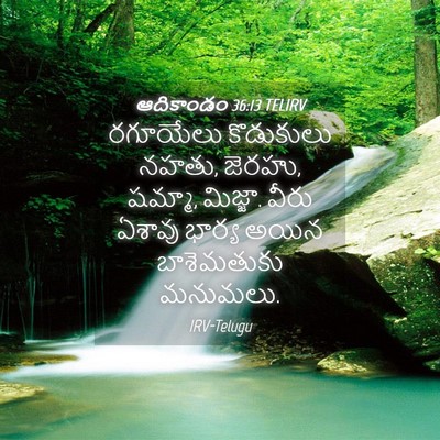 Picture 04 - ఆదికాండం 36:13 TELIRV - రగూయేలు కొడుకులు - Bible Verse Picture