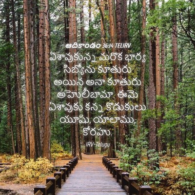 Picture 04 - ఆదికాండం 36:14 TELIRV - ఏశావుకున్న మరొక - Bible Verse Picture
