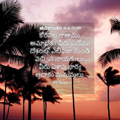 Picture 04 - ఆదికాండం 36:16 TELIRV - కోరహు, గాతాము, - Bible Verse Picture