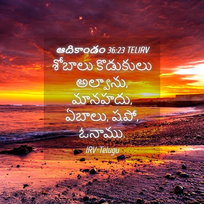 Picture 04 - ఆదికాండం 36:23 TELIRV - శోబాలు కొడుకులు - Bible Verse Picture