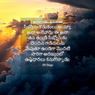 Picture 04 - ఆదికాండం 36:24 TELIRV - సిబ్యోను కొడుకులు - Bible Verse Picture