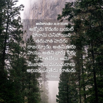 Picture 04 - ఆదికాండం 36:39 TELIRV - అక్బోరు కొడుకు - Bible Verse Picture