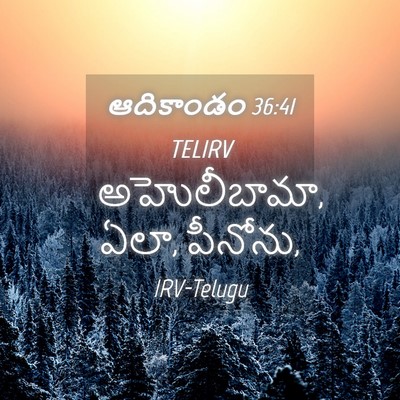 Picture 04 - ఆదికాండం 36:41 TELIRV - అహొలీబామా, ఏలా, - Bible Verse Picture