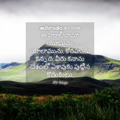 Picture 04 - ఆదికాండం 36:5 TELIRV - అహోలీబామా యూషును, - Bible Verse Picture