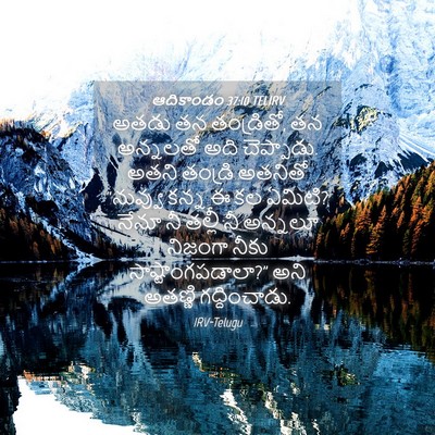 Picture 04 - ఆదికాండం 37:10 TELIRV - అతడు తన తండ్రితో, - Bible Verse Picture