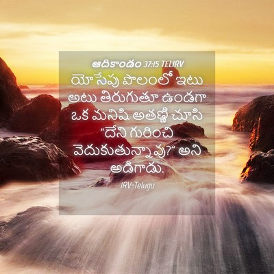 Picture 04 - ఆదికాండం 37:15 TELIRV - యోసేపు పొలంలో ఇటు - Bible Verse Picture