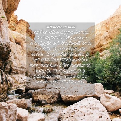 Picture 04 - ఆదికాండం 37:2 TELIRV - యాకోబు జీవిత - Bible Verse Picture