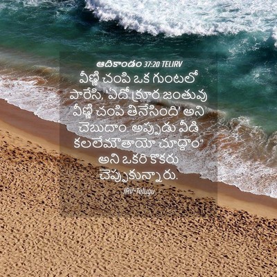 Picture 04 - ఆదికాండం 37:20 TELIRV - వీణ్ణి చంపి ఒక - Bible Verse Picture