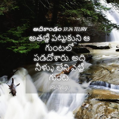Picture 04 - ఆదికాండం 37:24 TELIRV - అతణ్ణి పట్టుకుని - Bible Verse Picture