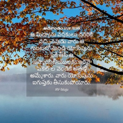 Picture 04 - ఆదికాండం 37:28 TELIRV - ఆ మిద్యాను - Bible Verse Picture